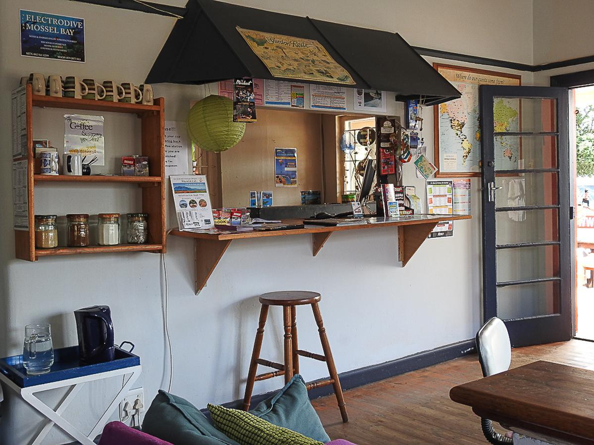 Mosselbay Backpackers Vandrerhjem Mossel Bay Eksteriør bilde